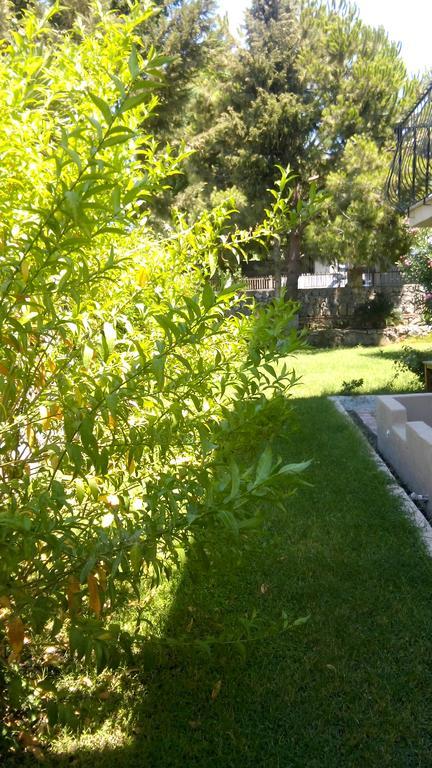 Poppy Apartments Fethiye Habitación foto